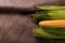 Raw corn cob burlap background. Ripe maize close view.