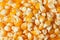 Raw corn kernels