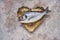 Raw dorado fish on the heart shaped dish. Sea bream or dorado fish. Top view, copy space
