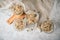 Raw dough of wholegrain bread with chia, oats, flaxseeds, sunflower and pumpkin seeds in glass jar for canning and prepper long