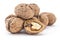 Raw dried walnuts