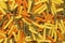 Raw or dry colored fusilli type of pasta background