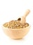 Raw, dry, uncooked brown lentil legumes in wood bowl and wooden scoop over white background