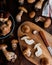 Raw edible penny bun porcini mushrooms on rustic dark wooden background