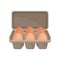 Raw eggs in cardboard container. Organic farm product. Food theme. Flat vector for advertising poster of grocery store