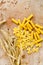 Raw farfalle and tortiglioni pasta