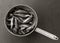 Raw fish capelin in the old aluminum colander on a gray background, top view