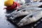 Raw fish mackerel, chili pepper, lemon,  spices  on a black background close-up top view