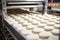 raw flatbread dough being molded by an automated machine