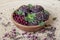 Raw food cookies with cranberries, sesame seeds,
