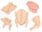 Raw fresh chicken parts set. Whole chicken, breast halves fillets, wings and drumsticks. Vector Illustration on white