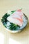 Raw with fresh hamachi meat fish sashimi