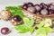 Raw fresh inshell chestnuts in basket with green and yellow leaves on wooden background. traditional dishes for christmas