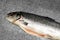 Raw fresh organic salmon fish on a dark stone table top view, close up, seabass preparing for cooking, copy space