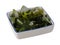 Raw fresh seaweed in white plate