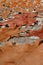 Raw freshly colored animal skins drying in the sun