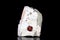 Raw garnet mineral stone on mother rock in front of black background