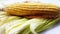 raw green corn pealed closeup image