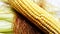 raw green corn pealed closeup image