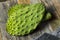 Raw Green Organic Cactus Leaf Fruit