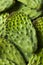 Raw Green Organic Cactus Leaf Fruit