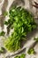 Raw Green Organic Cilantro Bunch