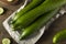Raw Green Organic European Cucumbers