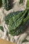 Raw Green Organic Lacinato Kale