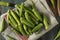 Raw Green Organic Okra Harvest