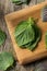 Raw Green Organic Perilla Sesame Leaves