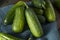 Raw Green Organic PIckle Cucumbers