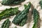 Raw Green Organic Tuscan Dinosaur Kale
