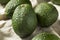 Raw Green Organic Unripe Avocados