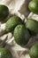 Raw Green Organic Unripe Avocados