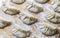 Raw Gyoza. ready for cooking. Japanese version of dumplings. Shallow depth of field.
