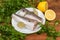 Raw hake with spices on dish among the fresh parsley