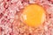 Raw hamburger with chicken egg close up