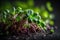 raw healthy food sprout microgreens Generative AI