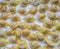 Raw italian cappelletti, fresh homemade pasta.