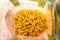 Raw italian macaroni pasta inside clear packaging