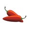 Raw jalapeno hot chilies. Vector Illustration