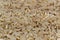 Raw long uncooked brown rice grains background