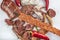 Raw marinated lamb chops, sausage, sausage, steak, ribs on a white background