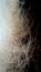 Raw materials for production. Dog camel hair close-up macro