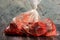 Raw meat and bone packed in plastic bag.Selective focus. Beef bone selection for soup