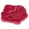 Raw meat illustration with multiple steak cuts. Red fresh beef or pork slices, uncooked protein source. Culinary