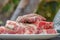 Raw meat in a plate, cut into pieces, seasoned and ready to grill, outdoors. Close-up, small depth of field