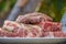 Raw meat in a plate, cut into pieces, seasoned and ready to grill, outdoors. Close-up, small depth of field