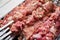 Raw meat on skewers for cooking kebabs on grill