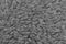 Raw Merino Sheep Wool Macro Closeup, Large Detailed Grey Textured Pattern Copy Space Background, Horizontal Gray Texture